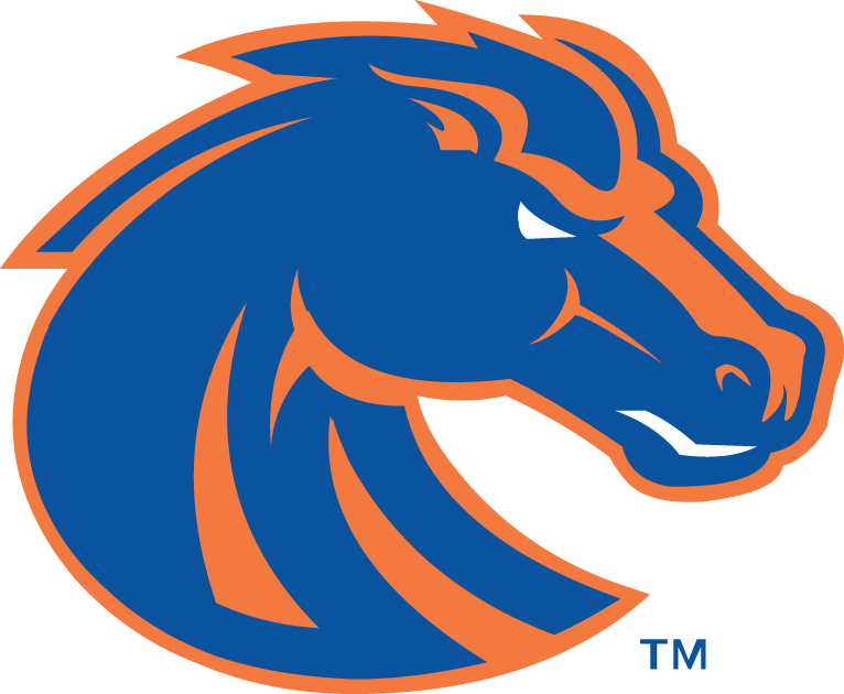Boise State Broncos 2002-2012 Secondary Logo v2 iron on transfers for fabric